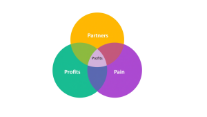 Partners, Profits and Pain points 